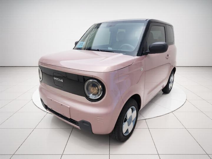 2023 Panda mini 200km Endurance Bear