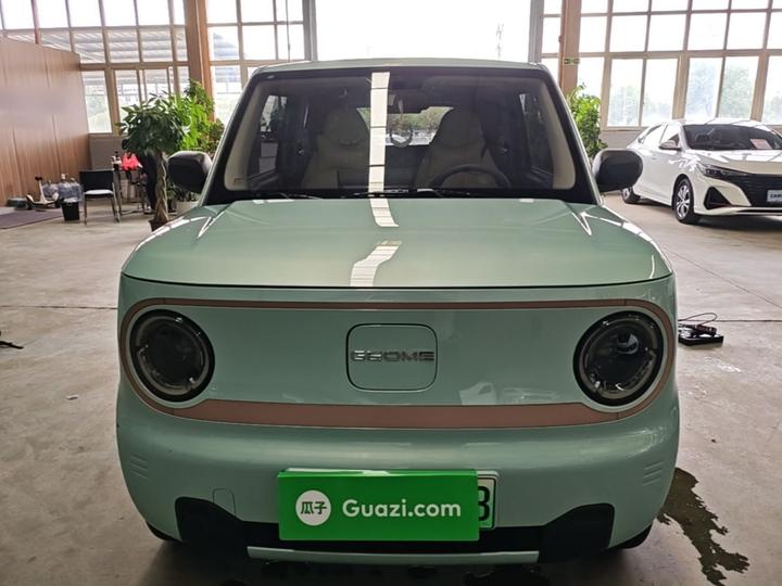 2024 Panda mini 200km Endurance Bear photo 2