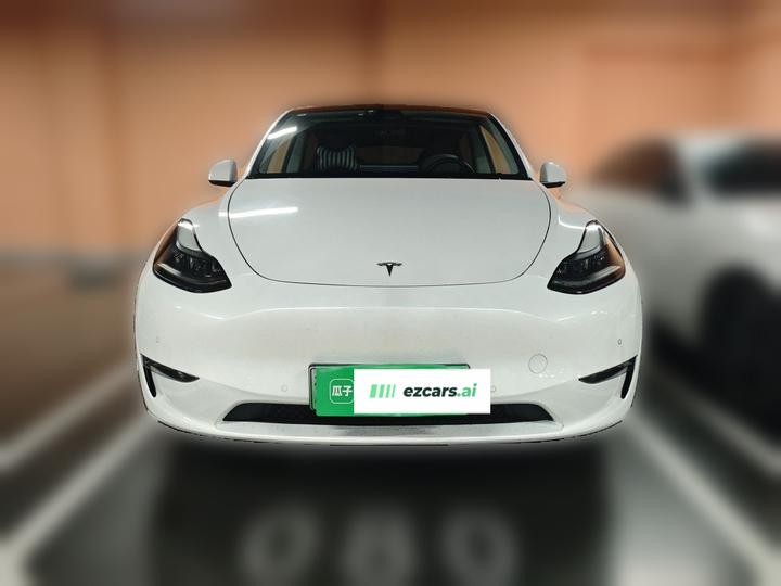 Model Y 2021 Standard Range RWD photo 2