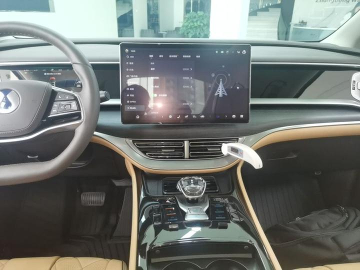 D9 2024 DM-i 980 AWD Noble photo 8