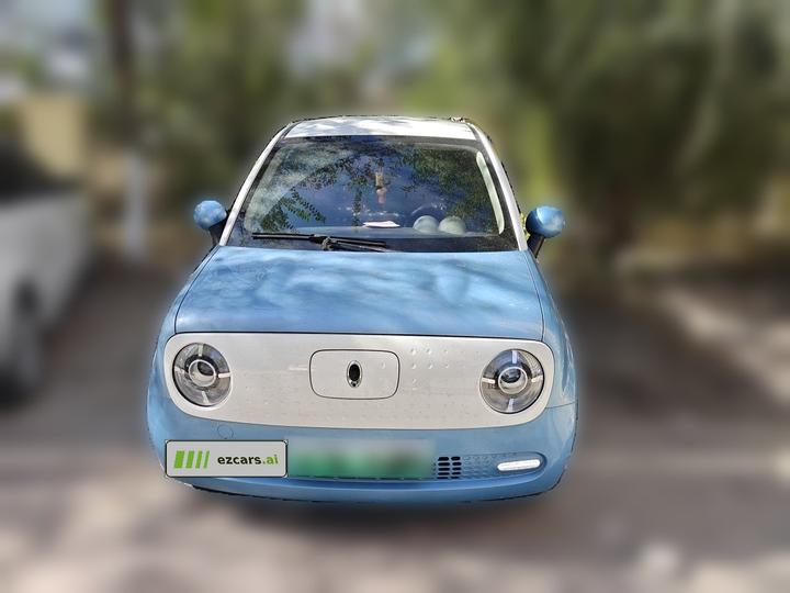 2019 351km photo 2