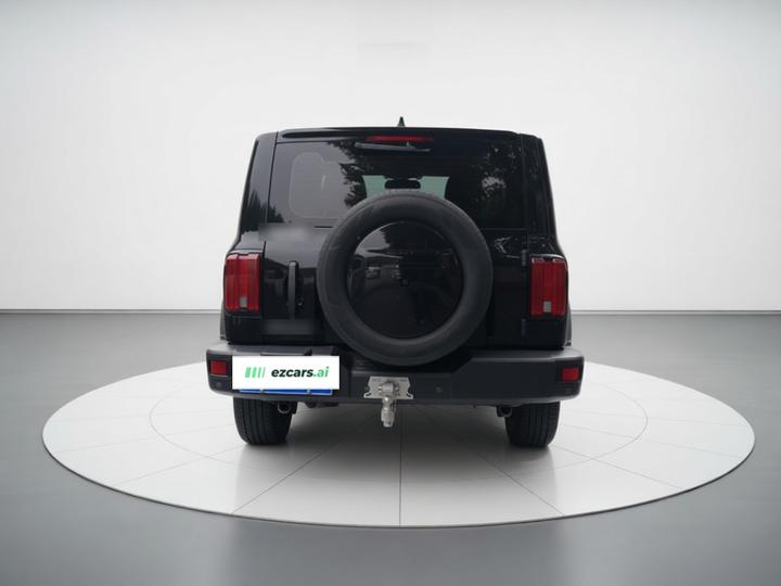 300 2021 Off-road 2.0T photo 5