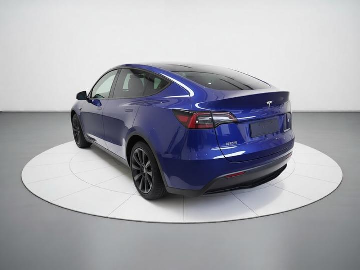 Model Y 2021 Long Range AWD photo 4