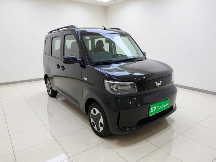 Wuling Zhiguang EV 2025 305km Progressive photo 3