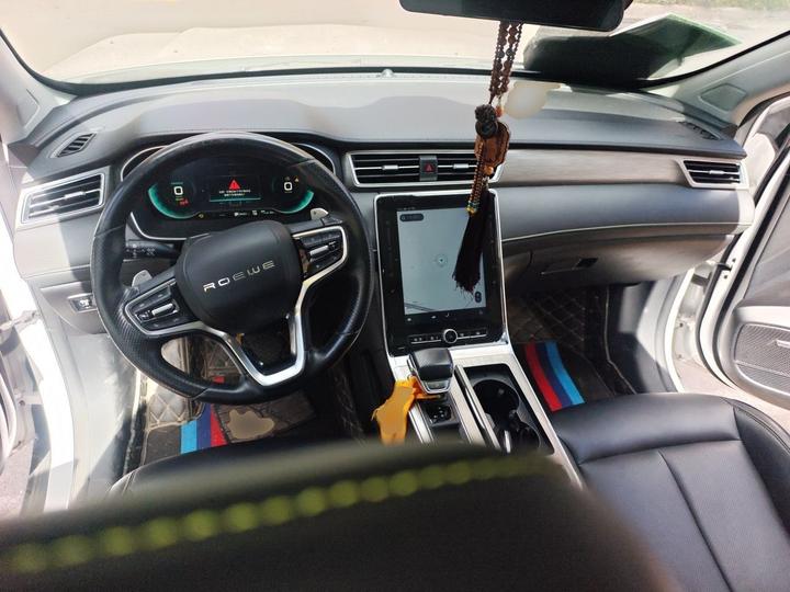 RX5 EV 2020 ePLUS Luxury photo 5