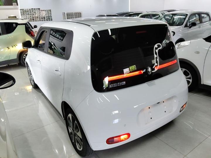 2022 Upgraded 305km Luxury NCM photo 4