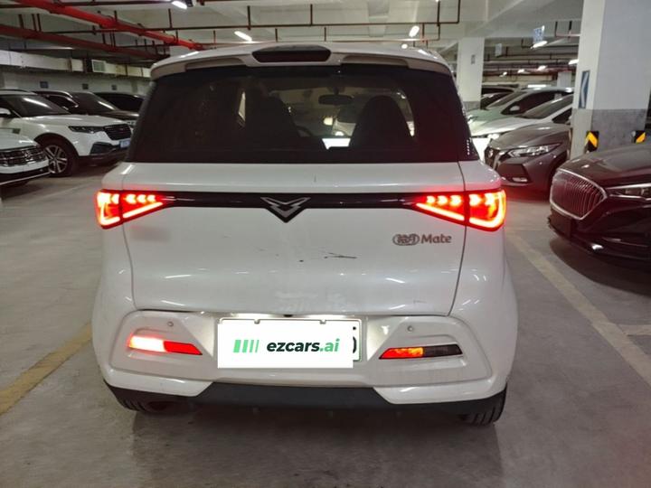 2025 Mate 300km photo 3