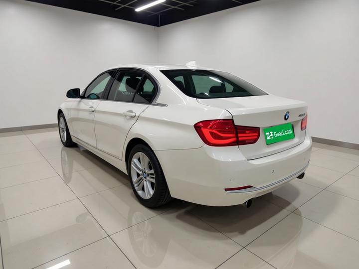 3 Series 2016 320Li Progressive photo 4