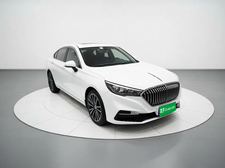 H5 2020 1.5T DCT photo 3