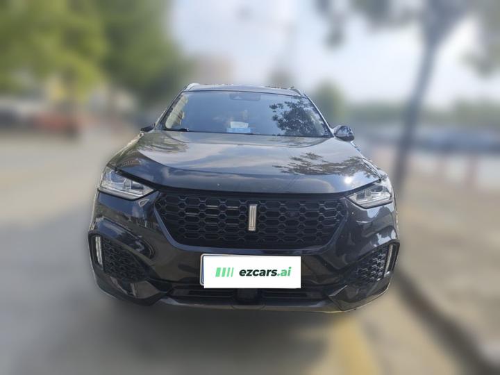 VV6 2019 2.0T RWD China VI photo 2