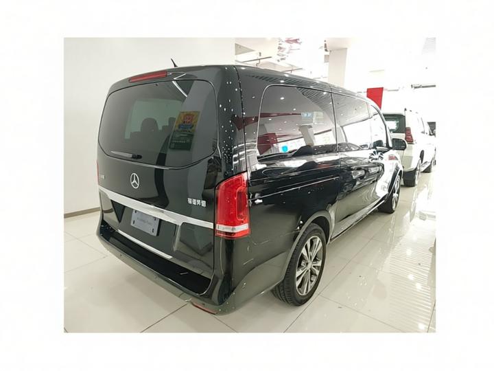V-Class 2017 V 260 Pilot photo 6