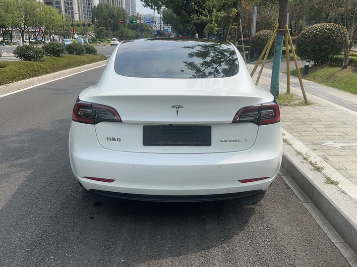 Model 3 2022 RWD photo 2