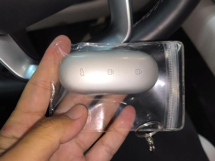 Li Auto L6 2024 Pro photo 8