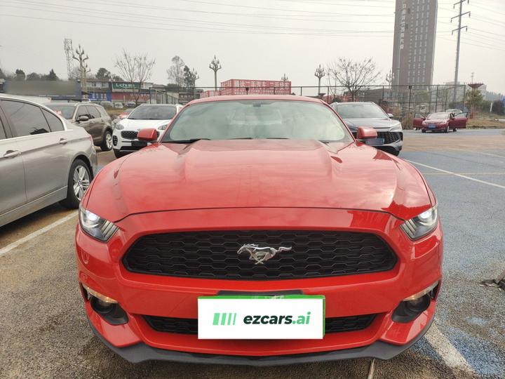 Mustang Parallel Import photo 2