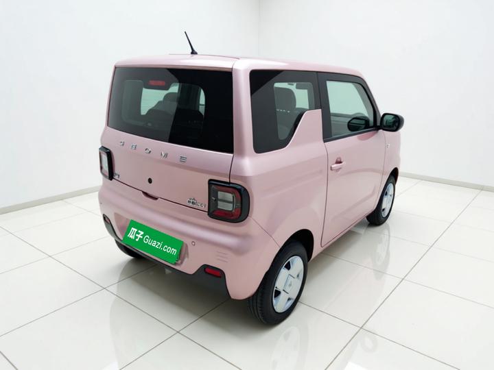 2024 Panda mini 200km Endurance Bear photo 6