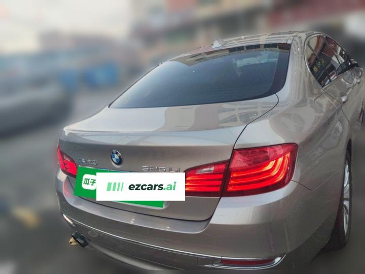 5 Series 2017 525Li Luxury Design Package photo 5
