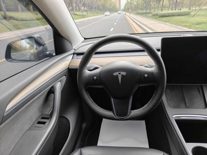 Model Y 2021 Long Range AWD 3D7 photo 3