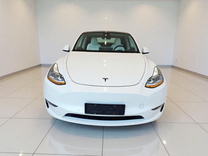Model Y 2023 Long Range AWD photo 2