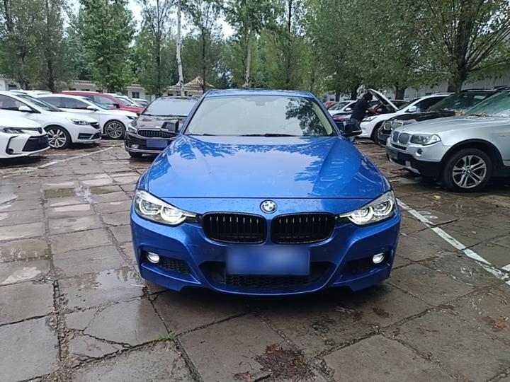 3 Series 2019 320Li M Sport photo 2