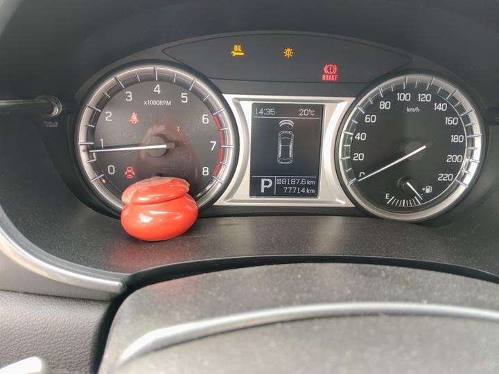 Vitara 2016 1.4T AT RWD Luxury photo 6