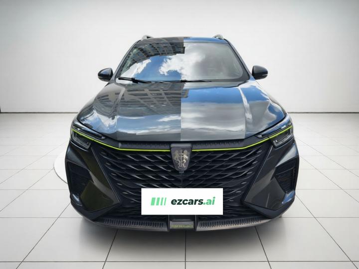 RX5 EV 2021 ePLUS Luxury photo 2