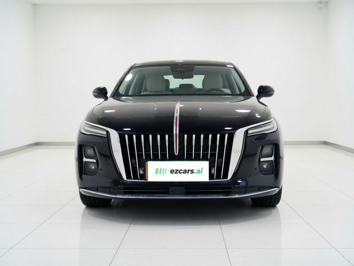 H5 PHEV 2025 170 photo 2