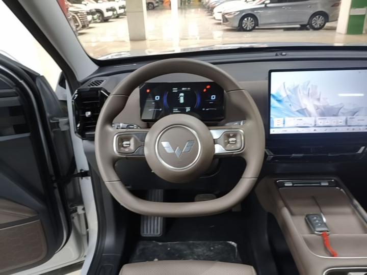560 EV 2026 125km Luxury photo 6