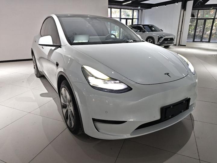 Model Y 2021 Standard Range RWD photo 3
