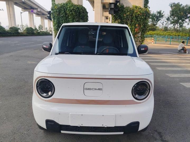 2023 Panda mini 200km Endurance Bear photo 2