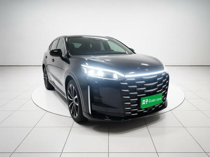 2025 DM-i 1.5T 180km Excellence photo 3