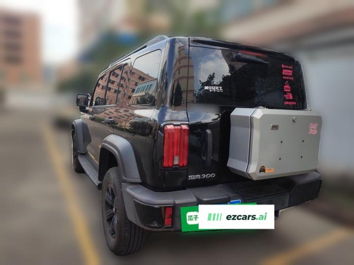 300 2025 2.0T Petrol photo 4