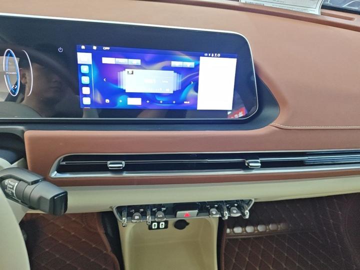 Good Cat 2021 400km Standard Range LFP photo 8