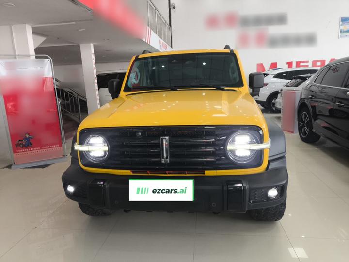 300 2021 Off-road 2.0T photo 2