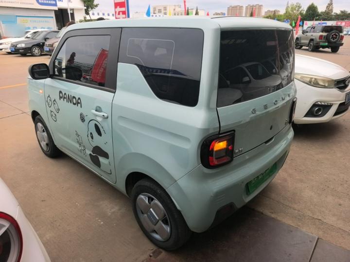 2023 Panda mini 200km Endurance Bear photo 4