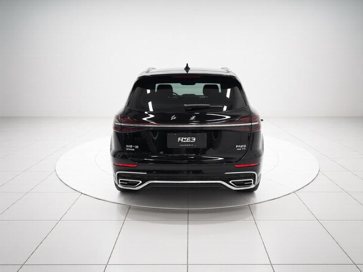 HS5 2023 2.0T AWD Pro photo 5