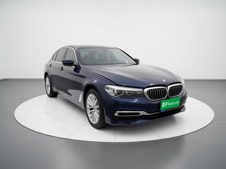 5 Series 2019 530Li xDrive Luxury photo 3