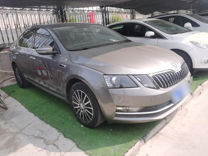 Octavia 2019 TSI230 DSG Luxury China V photo 3