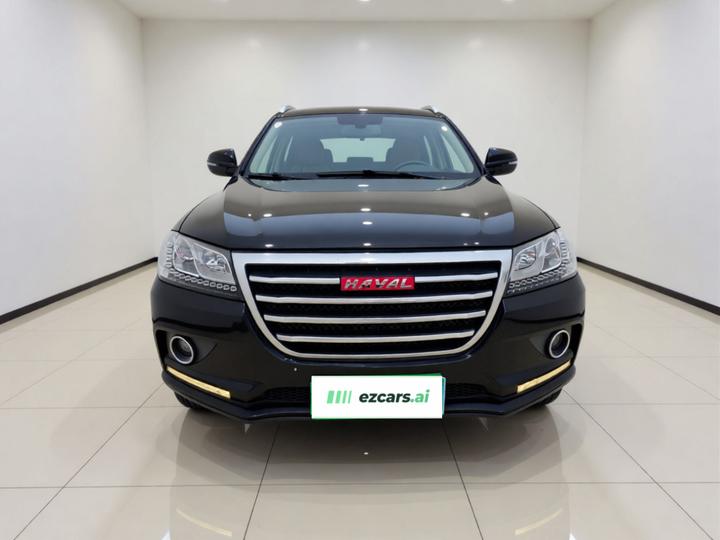 H2 2016 Red Label 1.5T MT RWD Luxury photo 2
