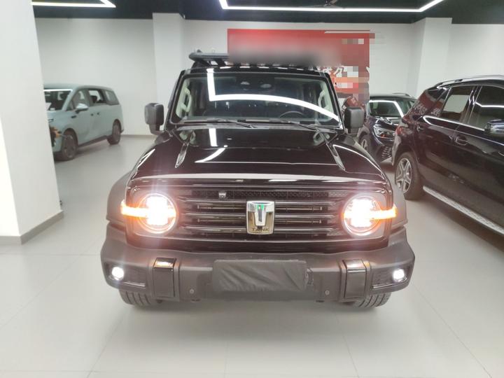 300 2023 Off-road 2.0T Conqueror photo 2