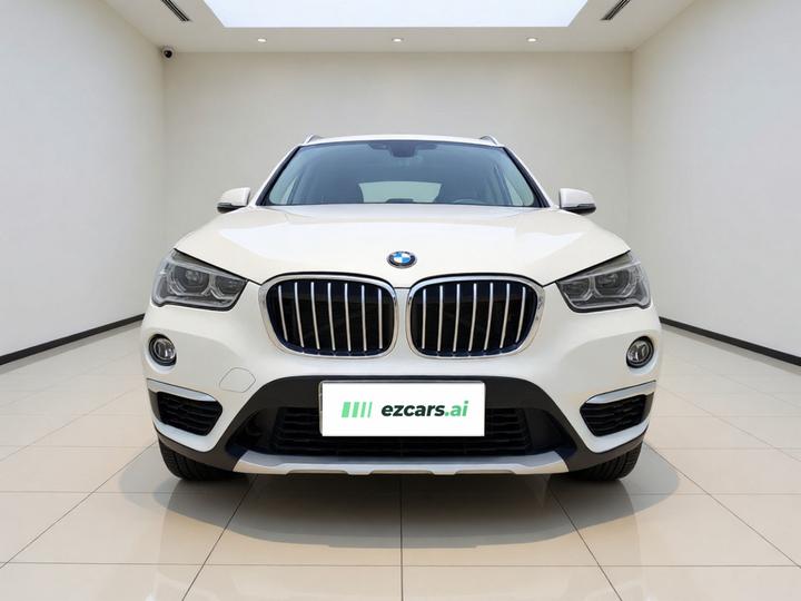 X1 2019 xDrive20Li Exclusive photo 2
