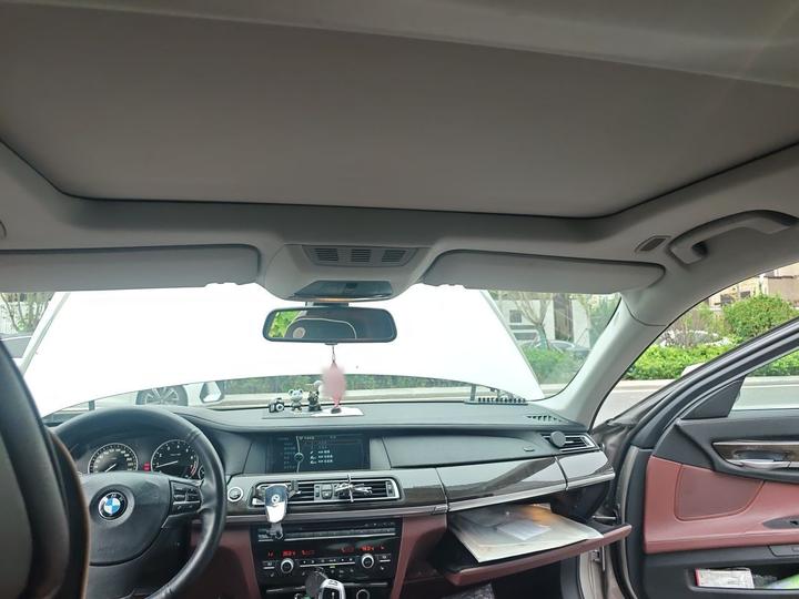 7 Series 2011 730Li photo 8