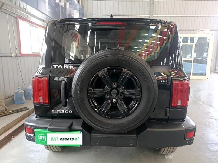 300 2023 Off-road 2.0T photo 5