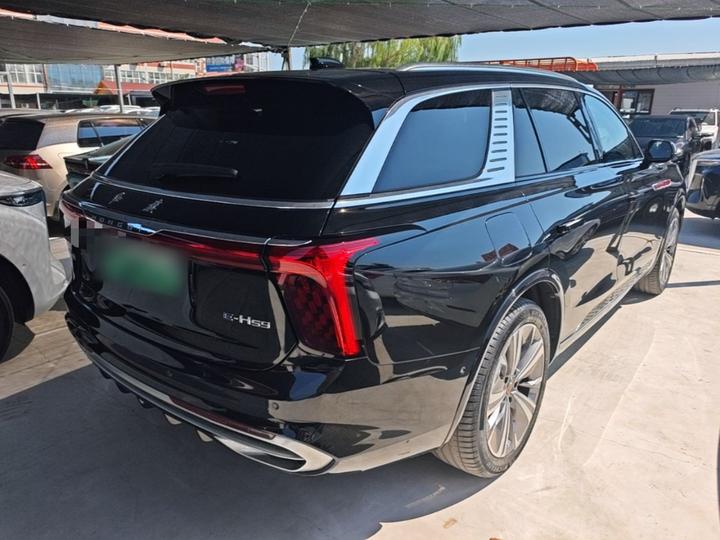 E-HS9 2021 460km 6-Seater photo 4