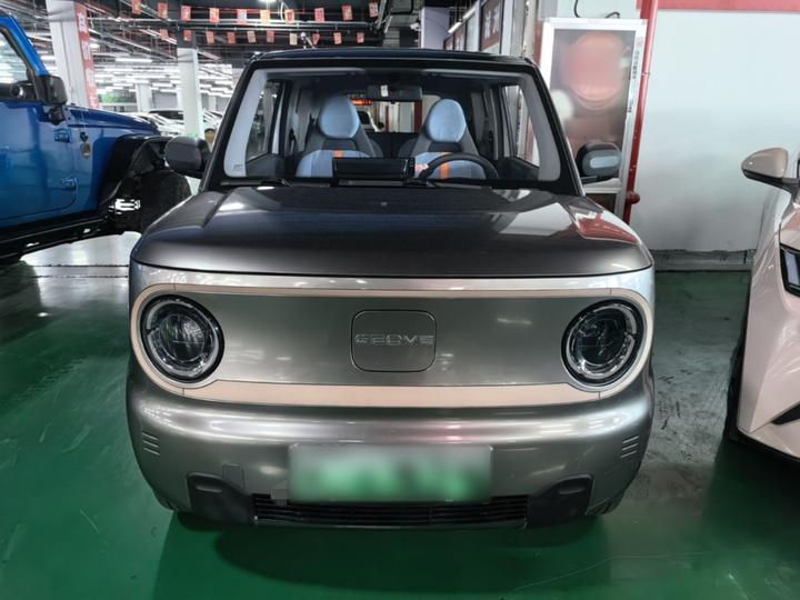 2023 Panda mini 200km Endurance Bear photo 2