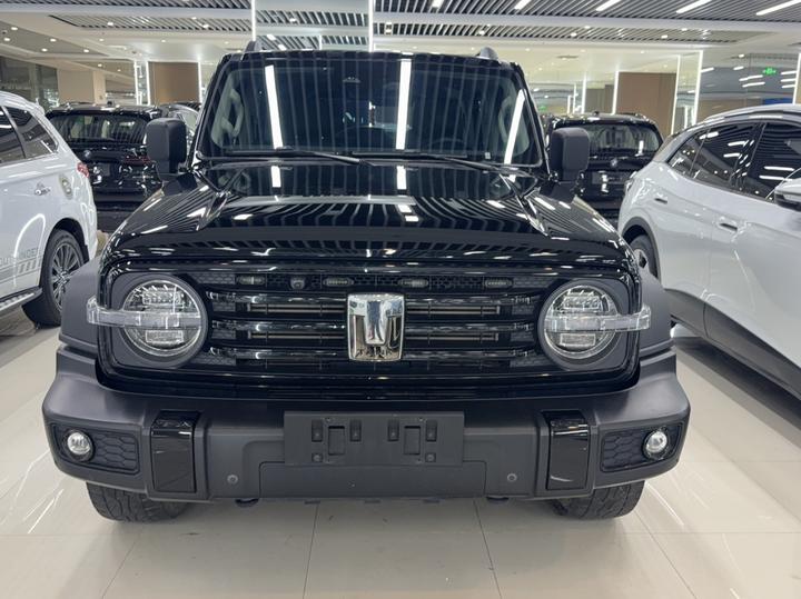 300 2021 Off-road 2.0T Conqueror photo 2