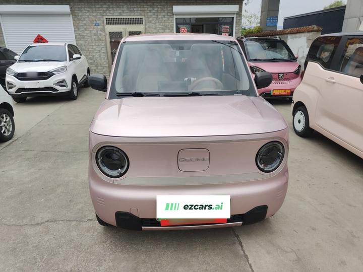 2023 Panda mini 200km Endurance Bear photo 2