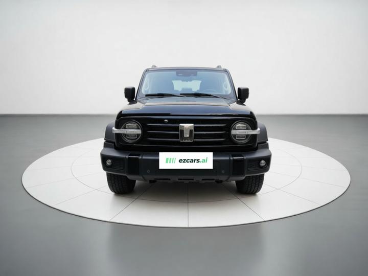 300 2021 Off-road 2.0T photo 2