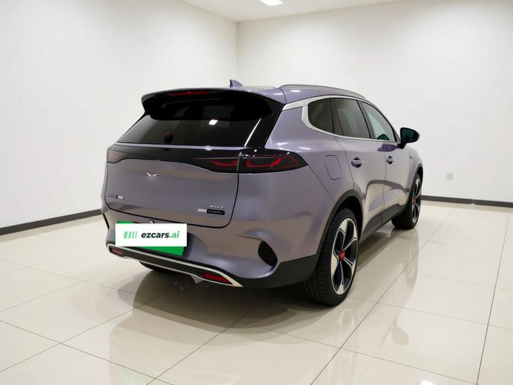 X 2020 PHEV Flagship photo 6