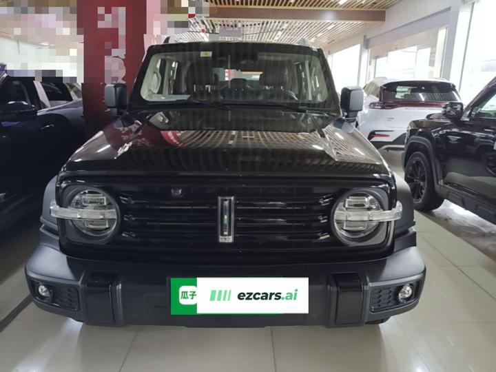 300 2021 Off-road 2.0T Conqueror photo 2