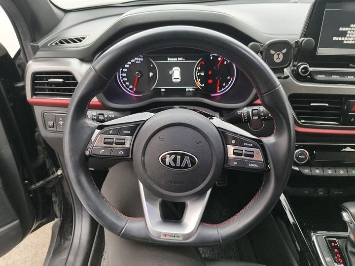Sportage 2019 1.4T DCT Smart Luxury GLS photo 8